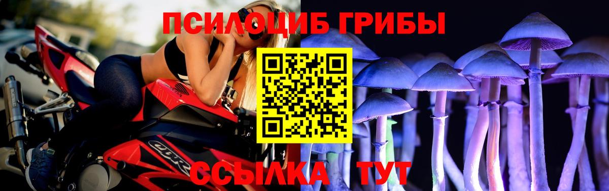 Галлюциногенные грибы мицелий Пугачёв